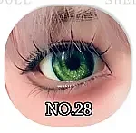 LACEDOLL 赤木 クールビューティー ダッチワイフ 160cm Cカップ 普乳 フルシリコン製 高級 リアドール