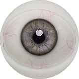 FANREAL UniSeries Maria 欧米系美少女 セックスドール 笑顔 シームレス 155cm Fカップ 巨乳 フルシリコン セックス人形 高級