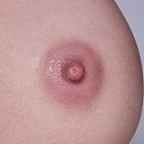 Real Lady R11 透明感のある童顔美少女 ラブドール 150cm Eカップ 普乳 sexdoll シリコン ROS口開閉機能付き