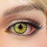 Irontech Doll 東方シリーズ 10%OFF 12月4日まで A6ヘッド 水濡れボディの誘惑系美少女 ダッチワイフ 161cm Minus AAカップ リアルドール シリコン ROS-MAX機能付き