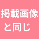 Butterfly Doll 草神 アニメ セックスドール エロいニーハイ美少女 140cm 超乳 TPE製リアルラブドール