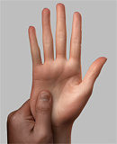 J-cute 貧乳ラブドール  149cm バスト平 AGD02 澪 軽量 シリコン製 無垢な美少女