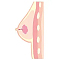 乳腺構造あり