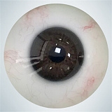 rzr doll 人造人 若璃 色気のあるお姉さん ダッチワイフ 160cm Dカップ No.23 シリコン ラブドール 最高級 膣前庭構造&乳腺構造あり