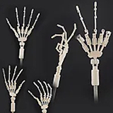 MW Girl 魔物姫 雪乃 JK制服美少女 エロ人形 アニメ 85cm ミニ バスト中 普乳 ソフトビニール製頭部 シリコンボディ 小型ラブドール かわいい系