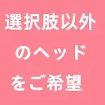 MMXDOLL 梦涵 ツインテール セックスドール 清楚系美少女 150cm Eカップ フルシリコン 等身大ラブドール 高級