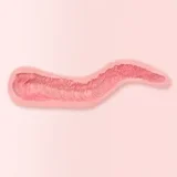 FANREAL Vanessa 168cm Fカップ ROS機能あり シリコン 褐色肌 黒いドレッドヘア熟女ラブドール