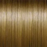 Real Lady 二つ目ヘッドなど無料 キャンペーン 1月31日迄 高級シリコン ラブドール アジア美少女 欧米系美人 sexdoll