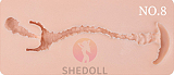 SHEDOLL 洛小乙 聖夜系美少女 セックスドール ツインテール 152cm Aカップ フルシリコン アダルトドール かわいい