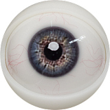 FANREAL Vanessa 168cm Fカップ ROS機能あり シリコン 褐色肌 黒いドレッドヘア熟女ラブドール