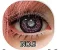 手作り眼球#5
