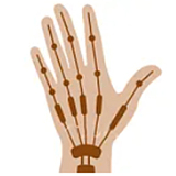 SHEDOLL 楚琳2.0 高身長でスタイル抜群のエロ美少女 リアルドール 163cm Hカップ 爆乳 フルシリコン製 ゲームキャラのコスプレ ラブドール