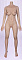 165cm Fカップ-B