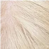 Yearndoll ラブドール 10％OFFキャンペーン 2月28日まで フルシリコン 軽量化ボディ+二代目手骨格関節+TOP級シリコン+自立機能など無料