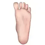 MW Girl 魔物姫 呆呆喵 笑顔が天真爛漫な猫耳アニメ美少女 ダッチワイフ 70cm バスト小 ミニ フィギュア ソフトビニール製頭部 シリコンボディ