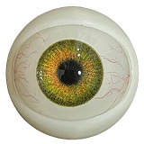 アート技研(Art-doll) NOVAシリーズ 新作キャンペーン 2月15日まで 10%OFF+ハードハンド+ハードフィート無料 巻き髪の美少女 林汐 158cm Ｃカップ ROS機能付き シリコンヘッド TPEボディ