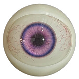 アート技研(Art-doll) NOVAシリーズ 新作キャンペーン 2月15日まで 10%OFF+ハードハンド+ハードフィート無料 巻き髪の美少女 林汐 158cm Ｃカップ ROS機能付き シリコンヘッド TPEボディ