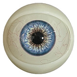 アート技研(Art-doll) NOVAシリーズ 新作キャンペーン 2月15日まで 10%OFF+ハードハンド+ハードフィート無料 巻き髪の美少女 林汐 158cm Ｃカップ ROS機能付き シリコンヘッド TPEボディ