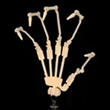 色気美人 Irokebijin Rio-A 水着ラブドール アニメ顔 152cm C カップ 美少女エロ漫画 S-TPE製