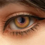 Real Lady S40 アイリーン Eileen 159cm Hカップ コスプレ ワンダーウーマン 巨乳巨尻 フルシリコン製 等身大 高品質ダッチワイフ ROS機能付き 正規通販