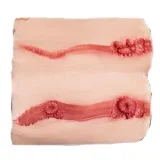 【アートワークカスタム版】Top-Sino Doll TYPEグラビア 171cm Dカップ 巨乳 T39米糖 高級リアルドール フルシリコン製 モデル美人 超擬真の肌テクスチャ