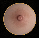 【アートワークカスタム版】Top-Sino Doll TYPEグラビア 171cm Dカップ 巨乳 T39米糖 高級リアルドール フルシリコン製 モデル美人 超擬真の肌テクスチャ