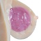 ゼリー胸