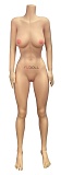 FUDOLL ラブドール 148cm Dカップ #8 フルシリコン製 純真少女 等身大リアルラブドール