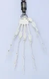 FUDOLL ラブドール 148cm Dカップ #8 フルシリコン製 純真少女 等身大リアルラブドール