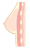 Top-Sino Doll T48B 米韵 165cm Eカップ  シームレスボディ 色気セクシーお姉さん ラブドール フルシリコン 爆乳リアルドール