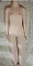 布製ボディ140cm 貧乳（微乳9kg）