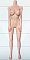 148cm Dカップ