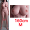 TPE 160cm M（一体式ホールのみ）