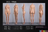 シリコン製 ラブドール 欧米風 高級 人気 リアルドール FANREAL 173cmボディ三面図