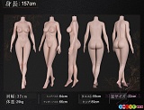 シリコン製 ラブドール 欧米風 高級 人気 リアルドール FANREAL 157cmボディ三面図