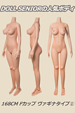 セックスドール 高級 おすすめ 等身大美少女 キャンペーン dollsenior ダッチワイフ