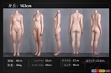シリコン製 ラブドール 欧米風 高級 人気 リアルドール FANREAL 163cmボディ三面図