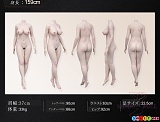 シリコン製 ラブドール 欧米風 高級 人気 リアルドール FANREAL 159cm Gカップ 三面図