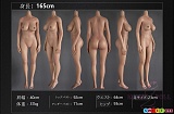シリコン製 ラブドール 欧米風 高級 人気 リアルドール FANREAL 165cmボディ三面図