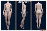 フルシリコン製 ラブドール 蛍火日記 151cm Aカップ 三面図