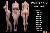 フルシリコン製 ラブドール 蛍火日記 160cm Gカップ 三面図