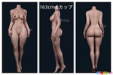 フルシリコン製 ラブドール 蛍火日記 163cm Eカップ 三面図