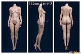 フルシリコン製 ラブドール 蛍火日記 162cm Aカップ 三面図
