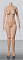 168cm Fカップ