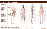 SHEDOLL シリコンドール ラブドール ボディサイズ一覧 148cm
