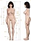 161cm Fカップ-33kg 161cm Fカップ-33kg