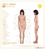 Irontech Doll orientalシリーズ ボディ単体販売ページ 161cm AAカップ