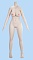138cm バスト中