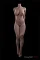 158cm-Max-Fカップ