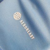 2023 Argentina  Training Jersey/2023阿根廷训练服